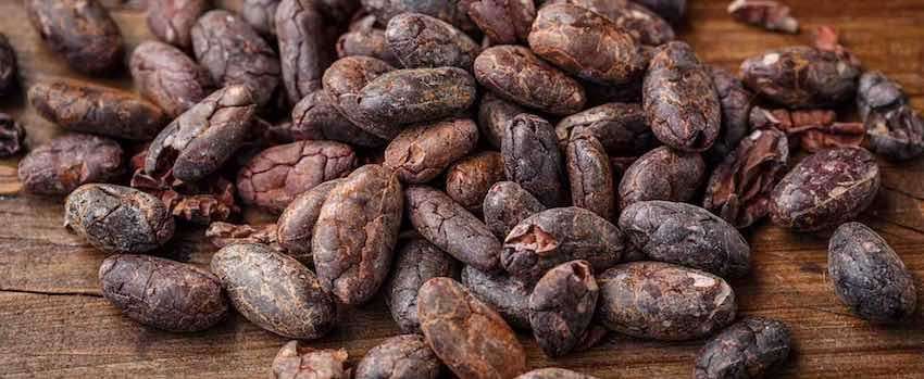 Objavte silu kakaových bôbov